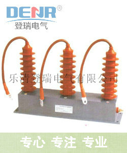 专业生产TBP-C-42F/310组合式过电压保护器/